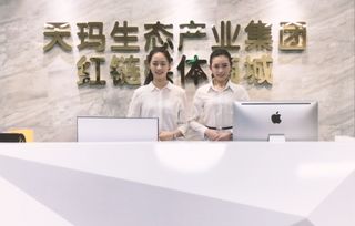 致力下一個電商紅海 天瑪集團引領互聯網新時代發展