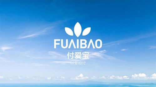 付愛寶與婕瑪網(wǎng)絡(luò) 解析與反思